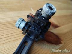 Diottra completa Anschutz