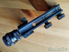 Diottra completa Anschutz