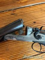 ...Altro | Non elencato liegi damasco 12