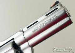 Colt Anaconda .44 Remington Magnum
