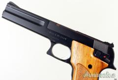 Smith & Wesson 422 .22 LR Long Rifle