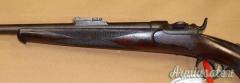 Carabina Werdl Lenz Mod. 1868 Cal. 10.35