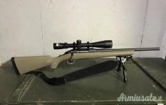 Ruger | Sturm Carabina