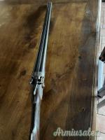 ...Altro | Non elencato Doppietta cani esterni 24