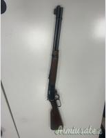 Carabina The Marlin Firearms