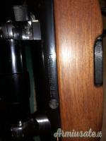 Steyr Mannlicher L .243 Winchester