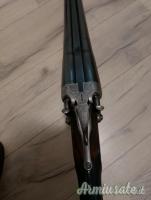 Beretta Vittoria cani esterni 12