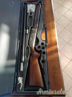 Beretta Greystone  12