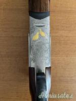 Rizzini Artemis Light  12