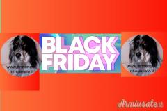 ...Altro | Non elencato