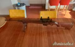 Springfield M1a .308 Winchester