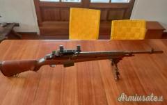 Springfield M1a .308 Winchester