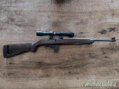 Winchester M1 .22 Long Rifle