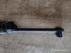 Winchester M1 .22 Long Rifle