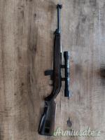 Winchester M1 .22 Long Rifle
