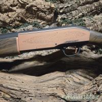 Beretta A301 12