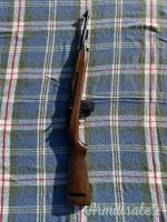 Chiappa Armi M1 .22 Long Rifle