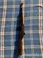 Chiappa Armi M1 .22 Long Rifle