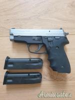 SIG-Sauer P229 .40 Smith & Wesson | Auto  |  10 x 21 mm