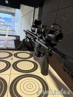 Armi Dallera Custom M5 .223 Remington