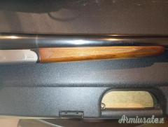 ...Altro | Non elencato  12