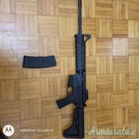 carabina semiautomatica