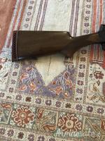 Browning Auto 5 magnum 12