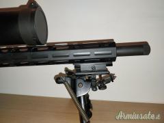 Ruger | Sturm Precision rimfire .22 Long Rifle