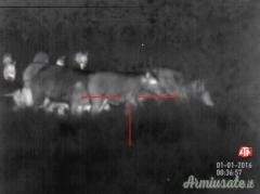 ATN MARS-HD 4,5-18x - 384 x 288