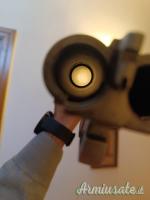 Doppietta Benzoni cani esterni 12