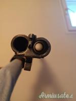 Doppietta Benzoni cani esterni 12