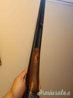 Doppietta Benzoni cani esterni 12