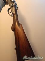 Doppietta Benzoni cani esterni 12