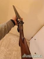 Doppietta Benzoni cani esterni 12