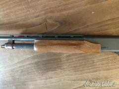 Remington 870 espress .410