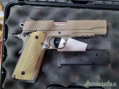 DESERT WARRIOR .45 ACP