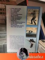 Armi corte nomenclatura e loro impiego