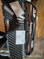 Benelli Raffaello  20