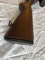 Springfield M1A .308 Winchester