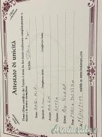 Kiridashi Denis Mura