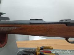 Ruger | Sturm  .22-250 Remington