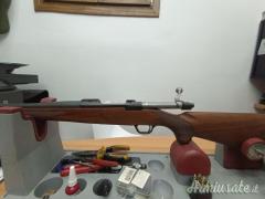 Ruger | Sturm  .22-250 Remington