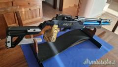 Anschutz 2025 4.5/.177