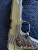 Colt Delta Elite 10mm Auto