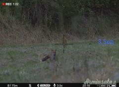 Pulsar Digex C50 + 940 IR