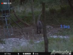 Pulsar Digex C50 + 940 IR