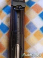 SCHMIDT RUBIN modello 1911