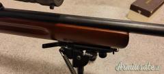 Beretta Olimpia unione .22 Long Rifle