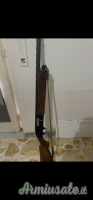 Beretta A 303 12