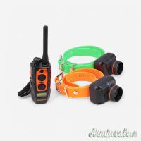 DOGTRA 2602T&B NUOVO